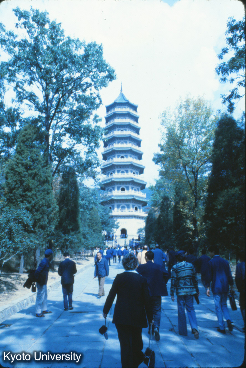 108_霊谷寺塔 Murphy (1)