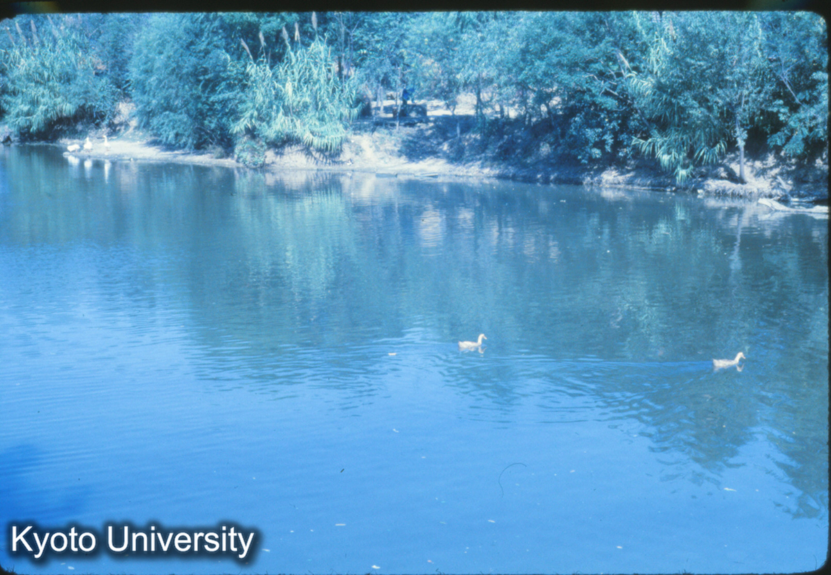 187_蕭景墓 十月人民公社十月大隊のちかく (1)