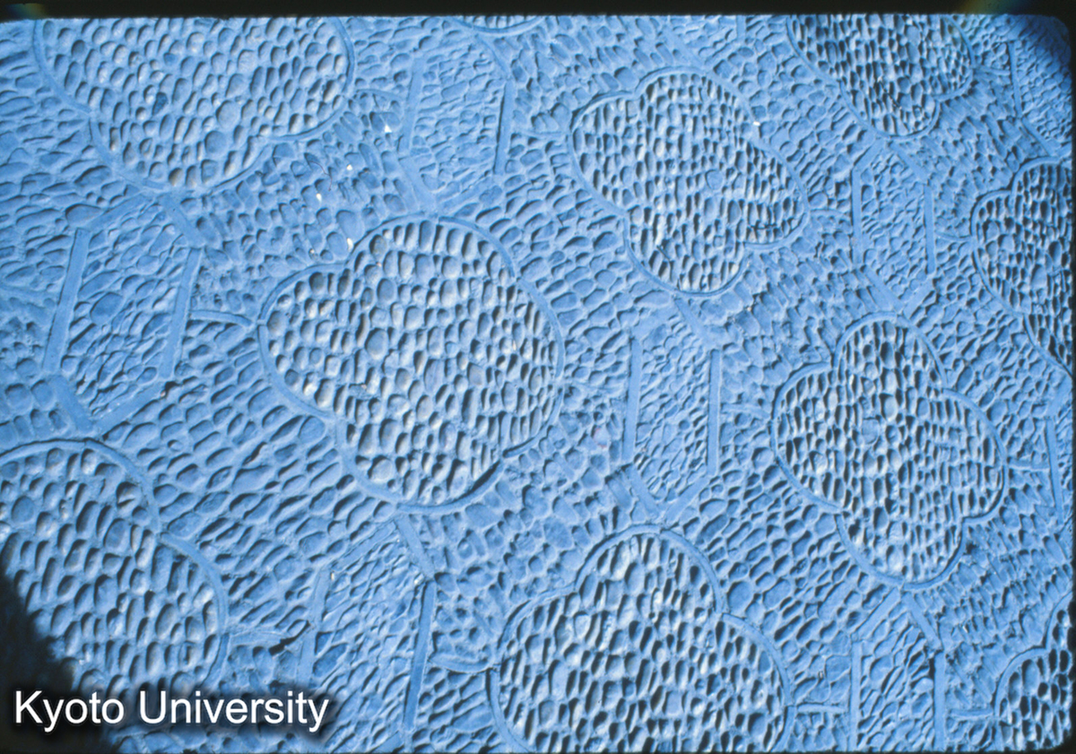 201_留園 鋪地_79 (1)