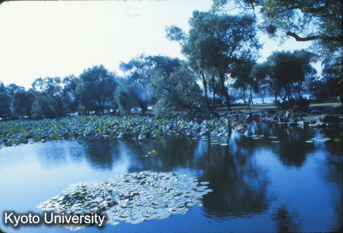 501_西湖 三潭印月 (1)