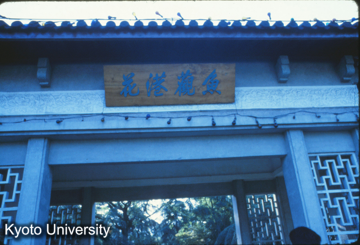 511_西湖 花港歓魚 (1)