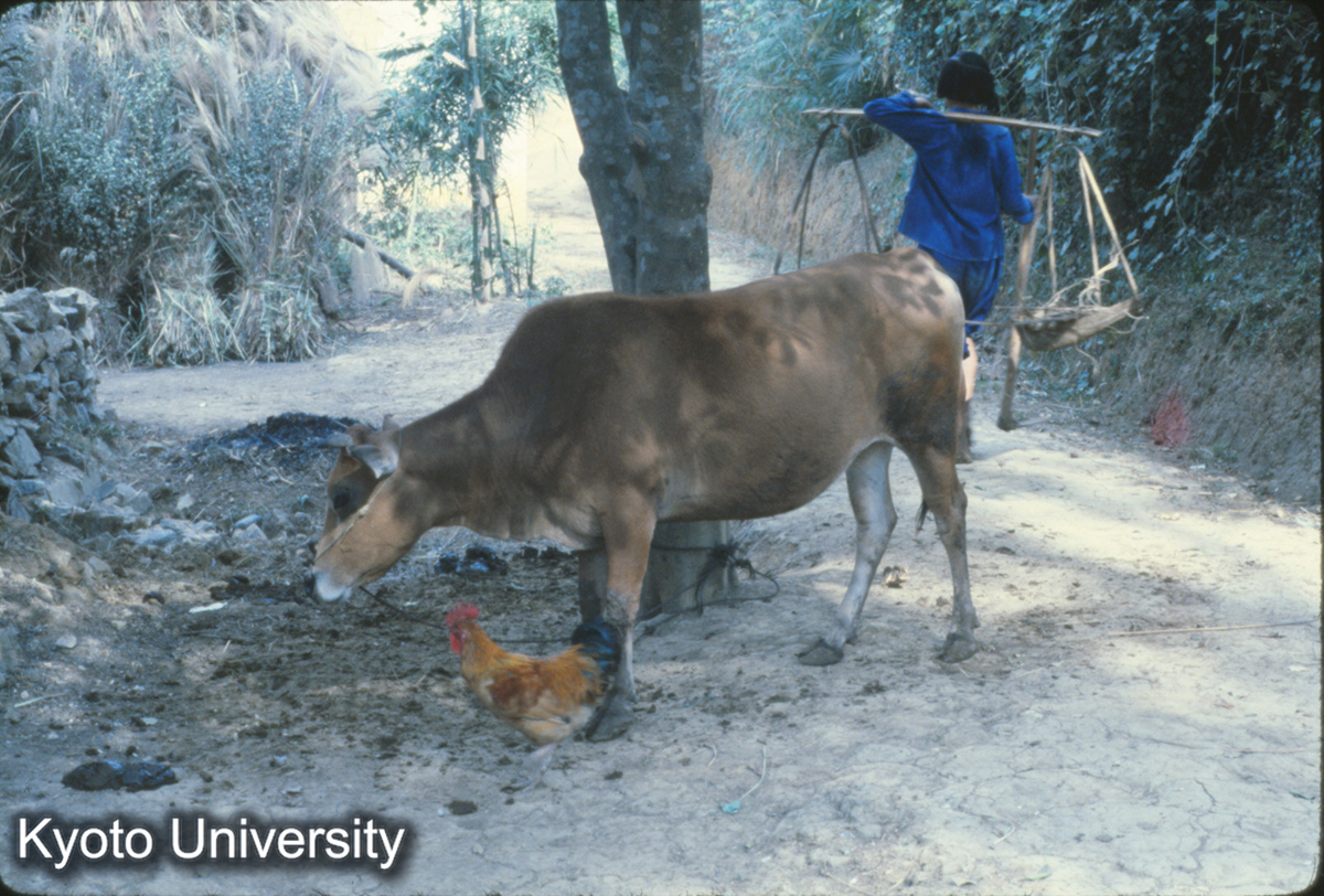 641_陽朔付近 (1)