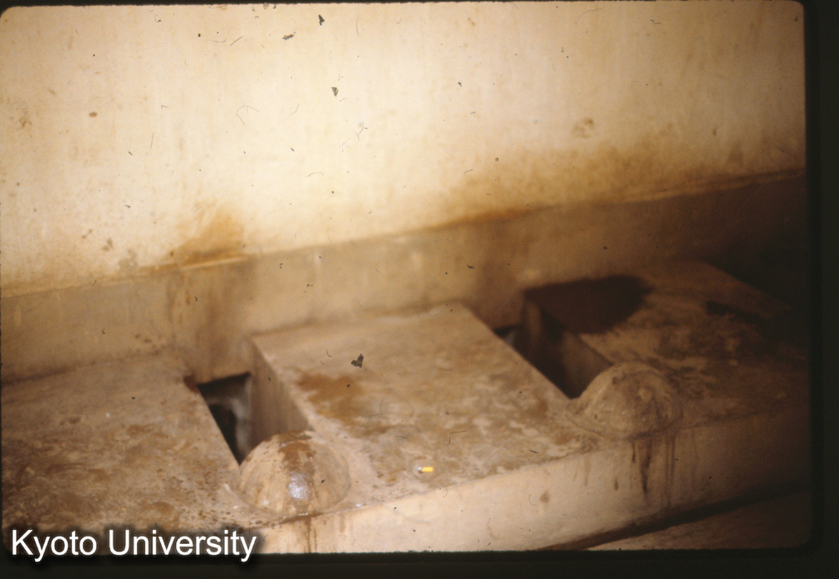 3-13_江寧県秣陵人民公社 厠所（ブタ） (1)