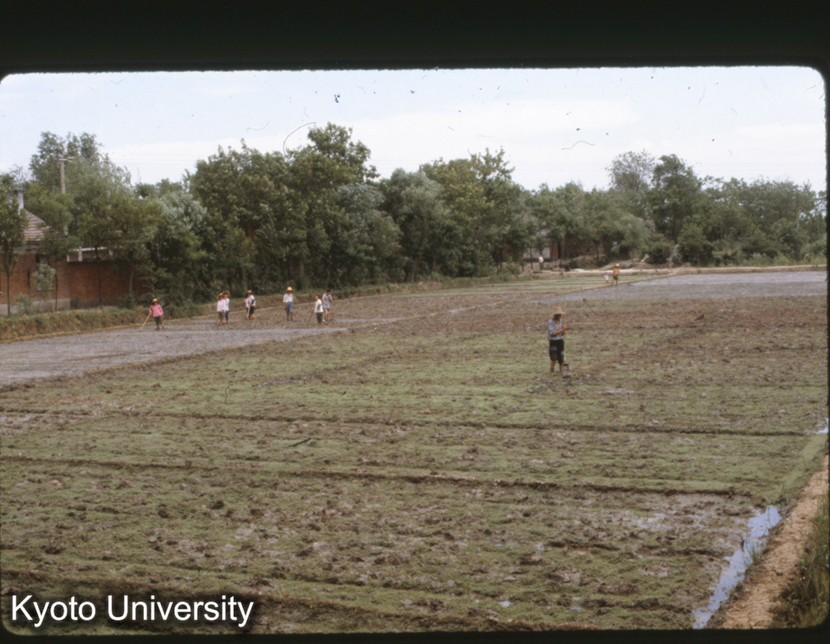 3-24_江寧県秣陵人民公社 (1)