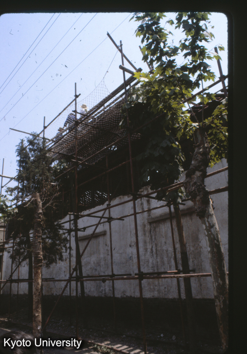 9-3_揚州仙鶴寺 修理中 (1)