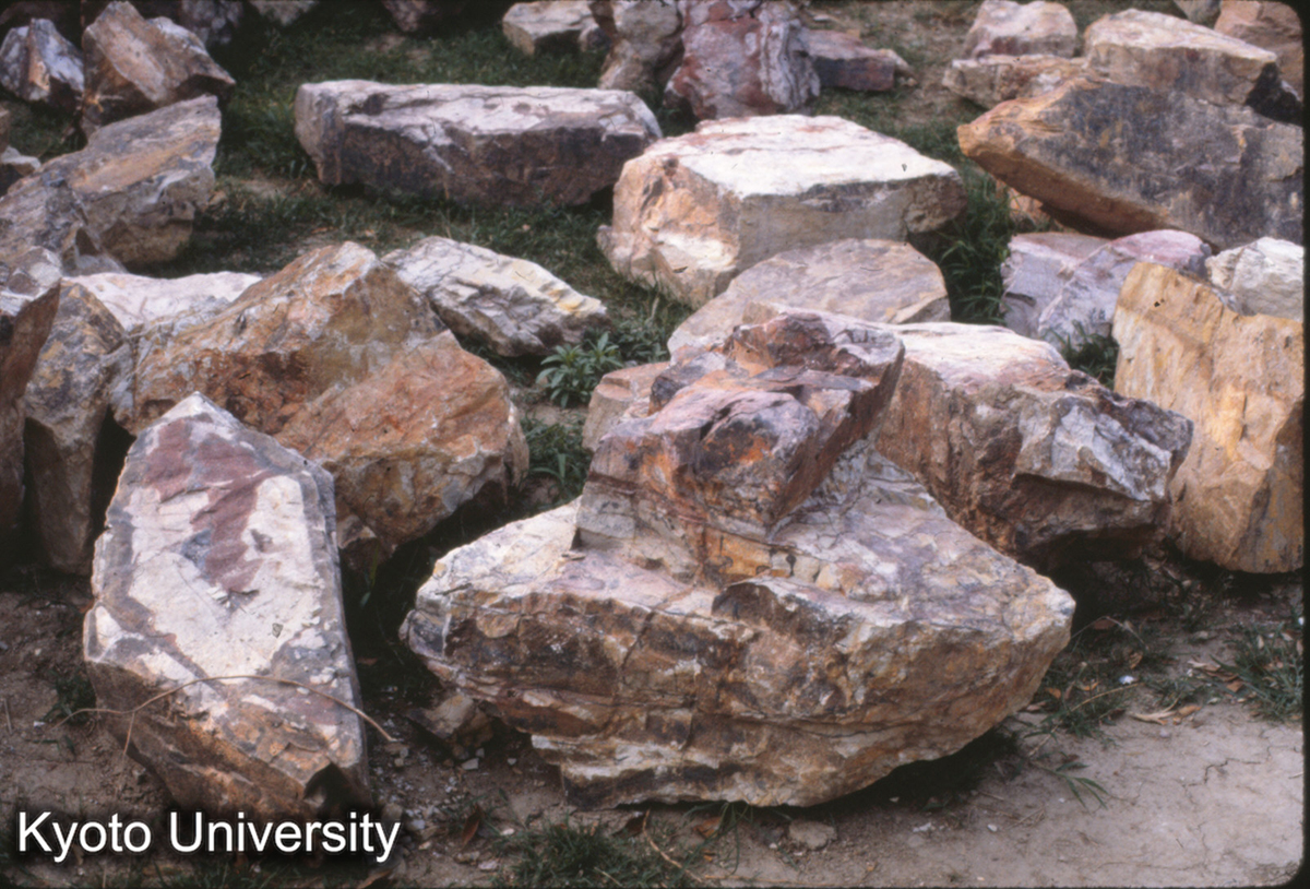 10-31_黄石 無錫（製材中）太湖蠡園 _81 (1)