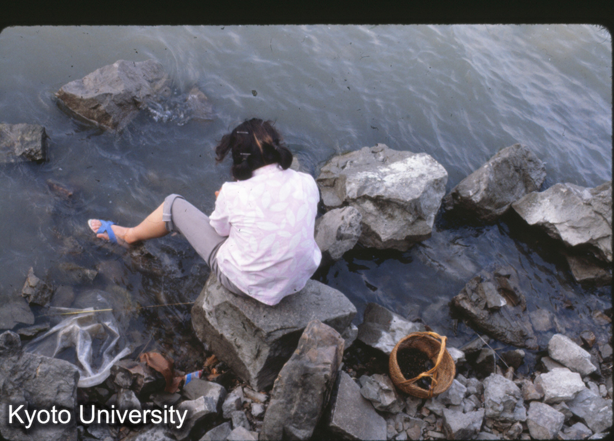 10-36_貝?とり （無錫太湖） (1)