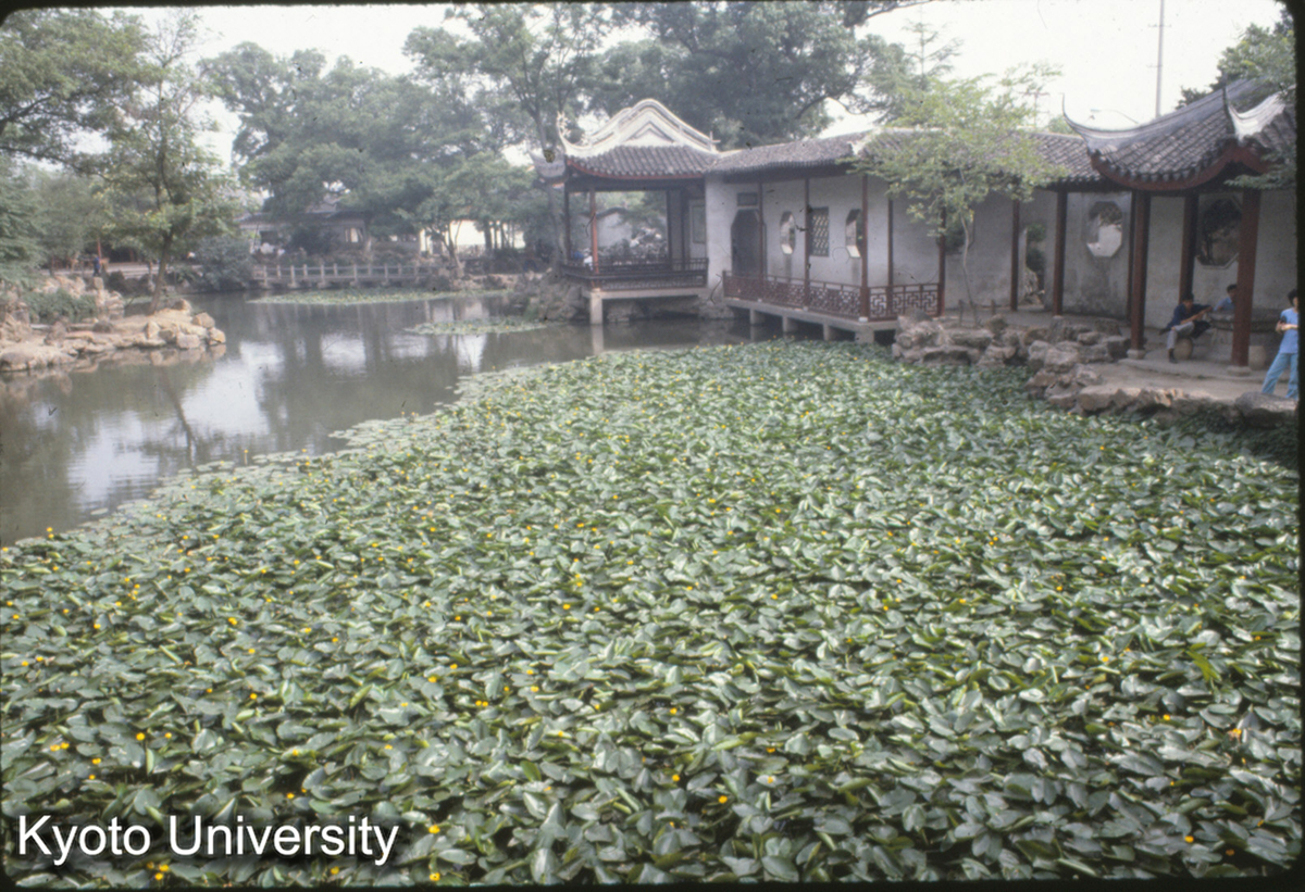 11-10_無錫寄暢園 (1)