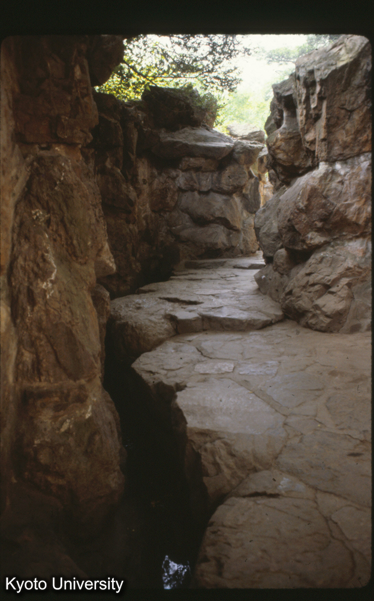 11-18_無錫寄暢園 八音澗 黄石壁_81 (1)