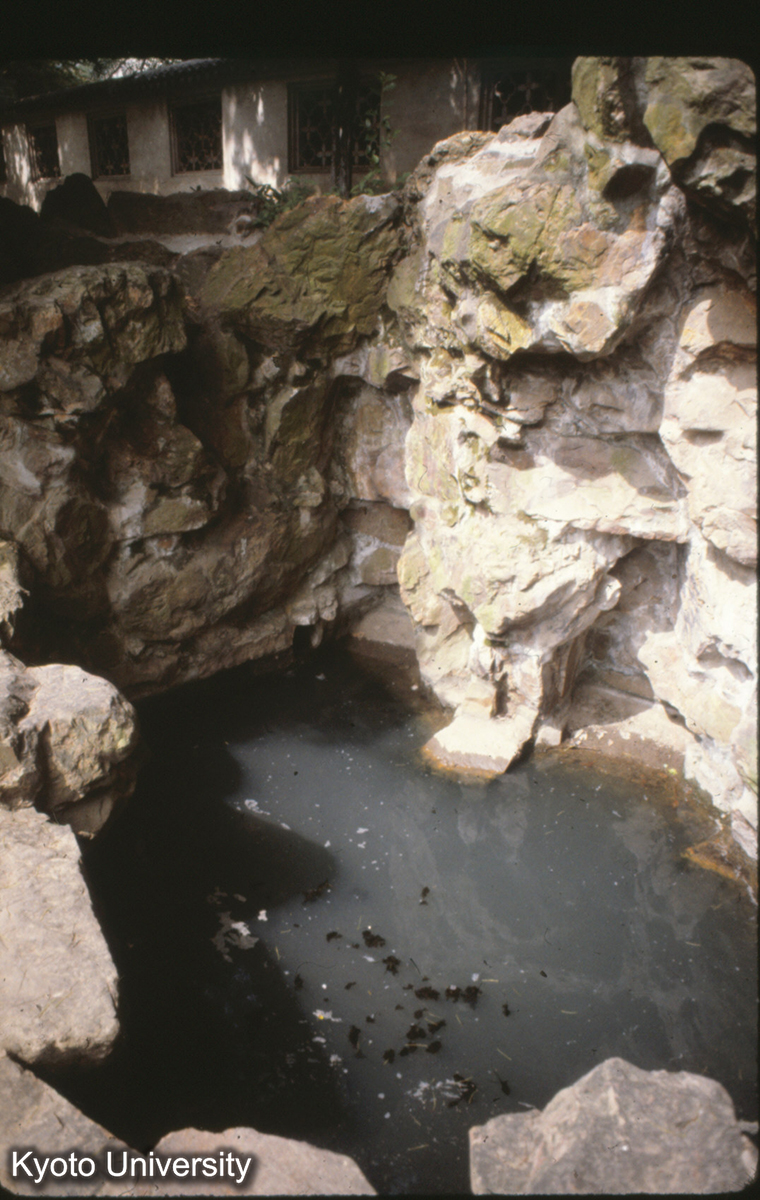 11-22_無錫寄暢園_81 (1)