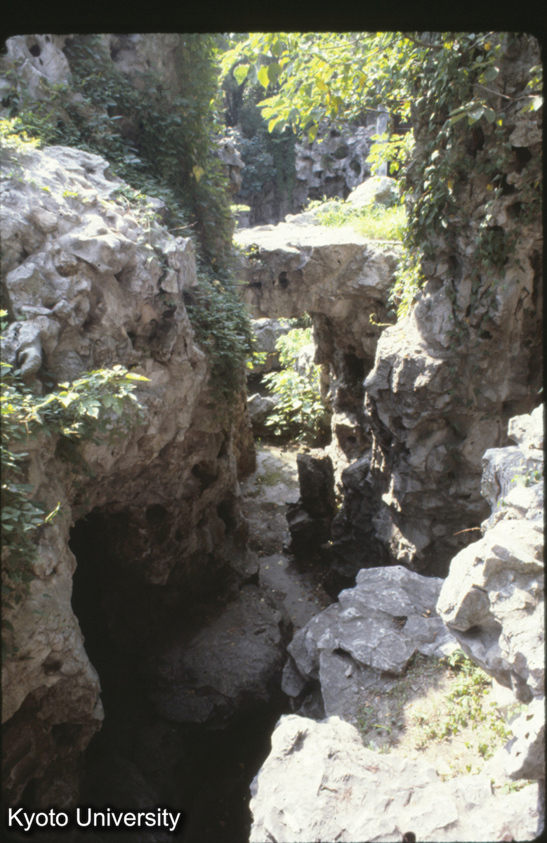 14-26_蘇州環秀山荘 山澗_81 (1)