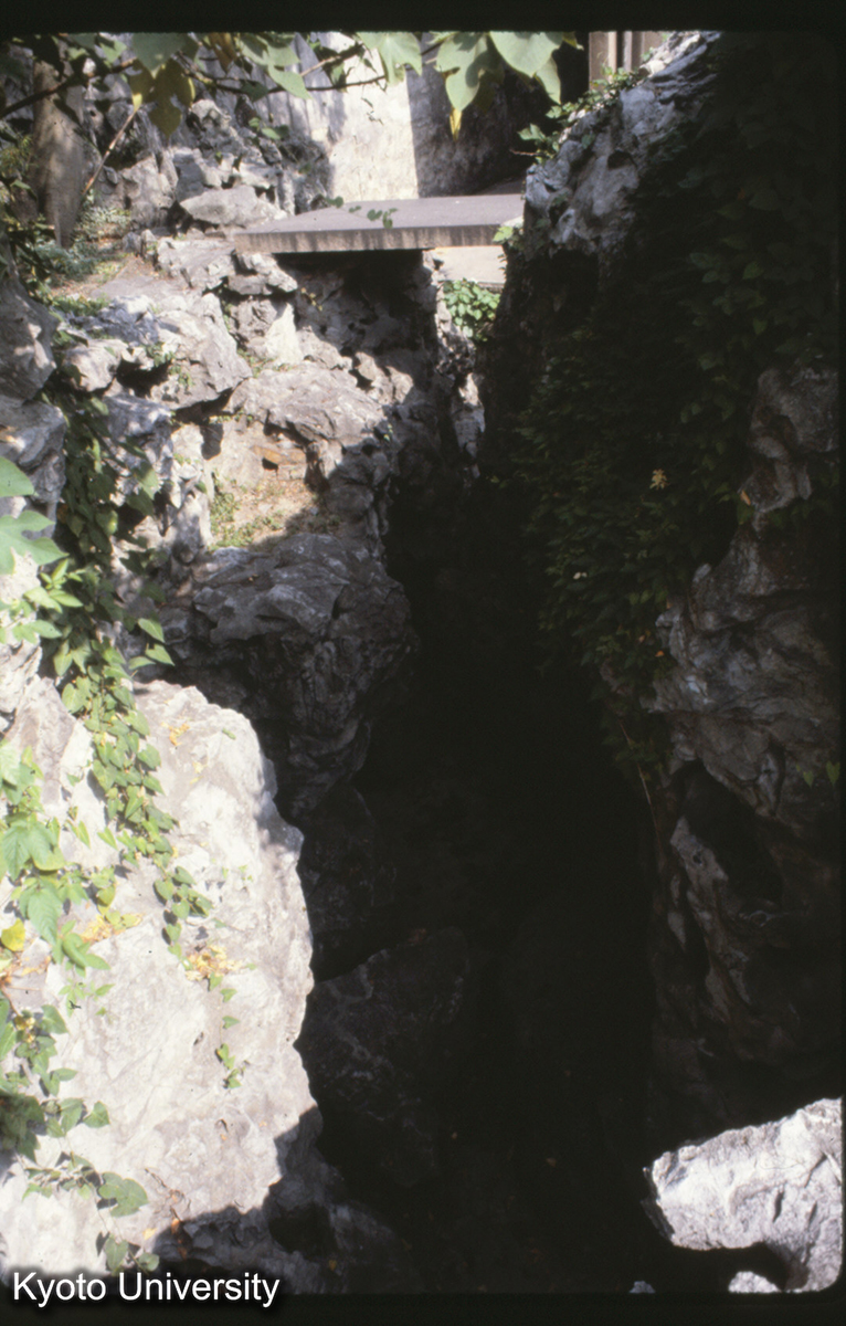 14-28_環秀山荘_81 (1)