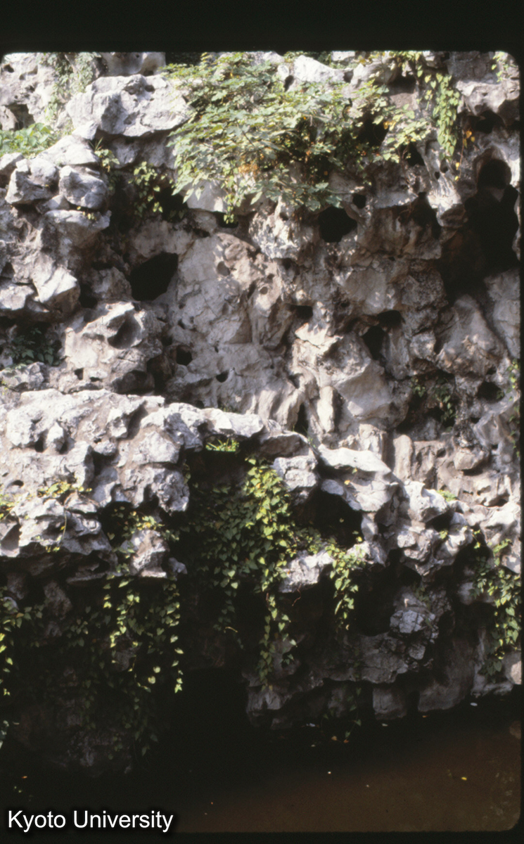 14-36_蘇州環秀山荘 石機 (1)