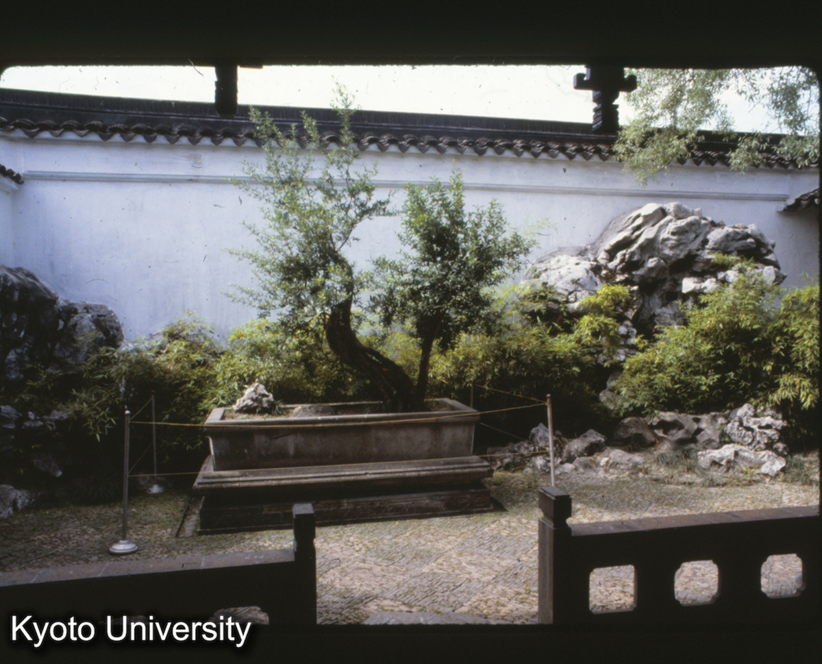 17-25_蘇州網師園 盆景_81 (1)