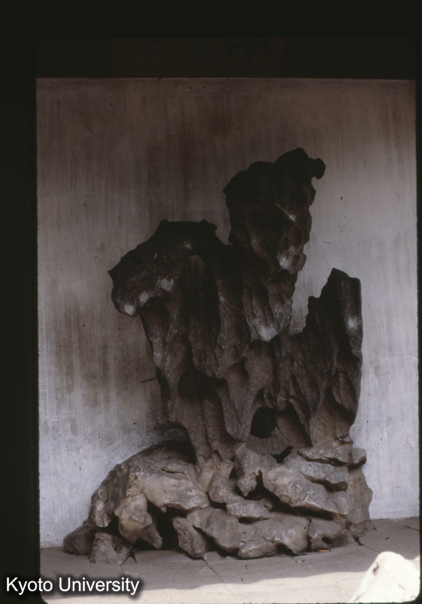 17-29_蘇州網師園 湖石_81 (1)