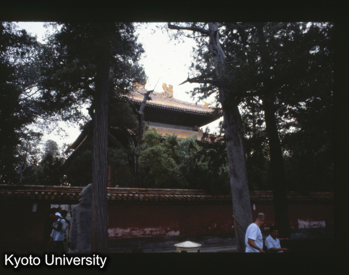 20-27_故宮 欽安殿 盝頂_81 (1)