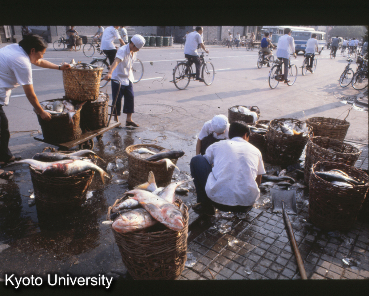 21-20_魚露店（北京妙応寺ちかく） (1)