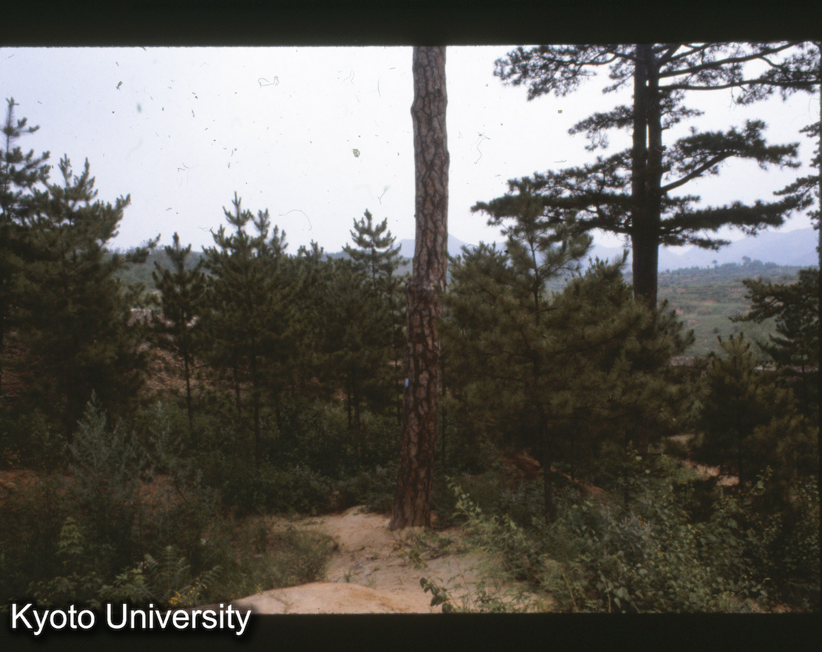 25-35_承徳普寧寺 背面囲墻（世界の果て） (1)