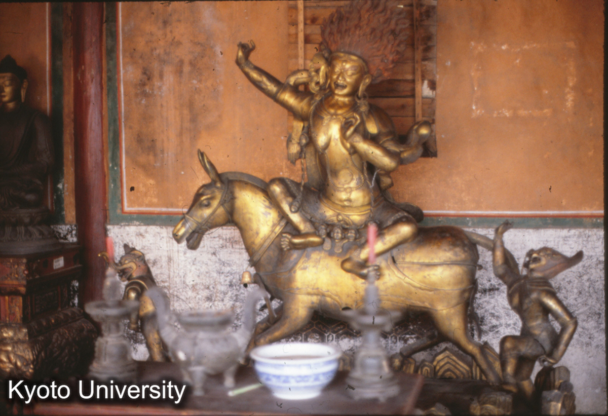 28-21_承徳普陀宗乗之廟 羅漢 (1)