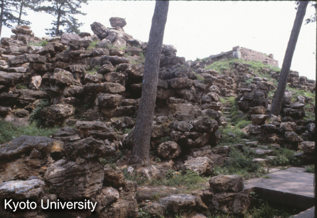 29-26_承徳殊像寺会乗殿後庭 中国式仮山 (1)