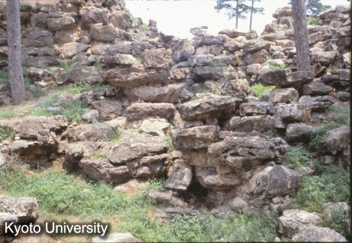 29-30_承徳殊像寺会乗殿後庭 仮山 (1)