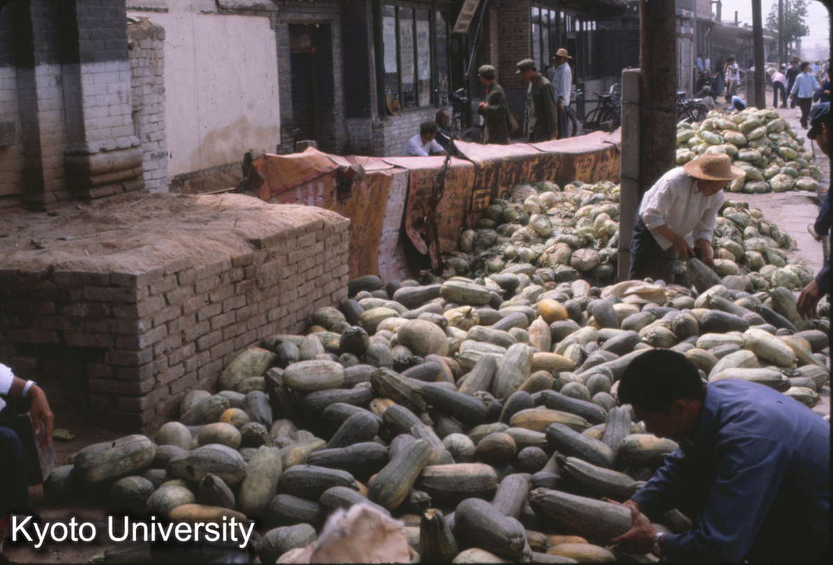 38-4_野菜（大同） (1)