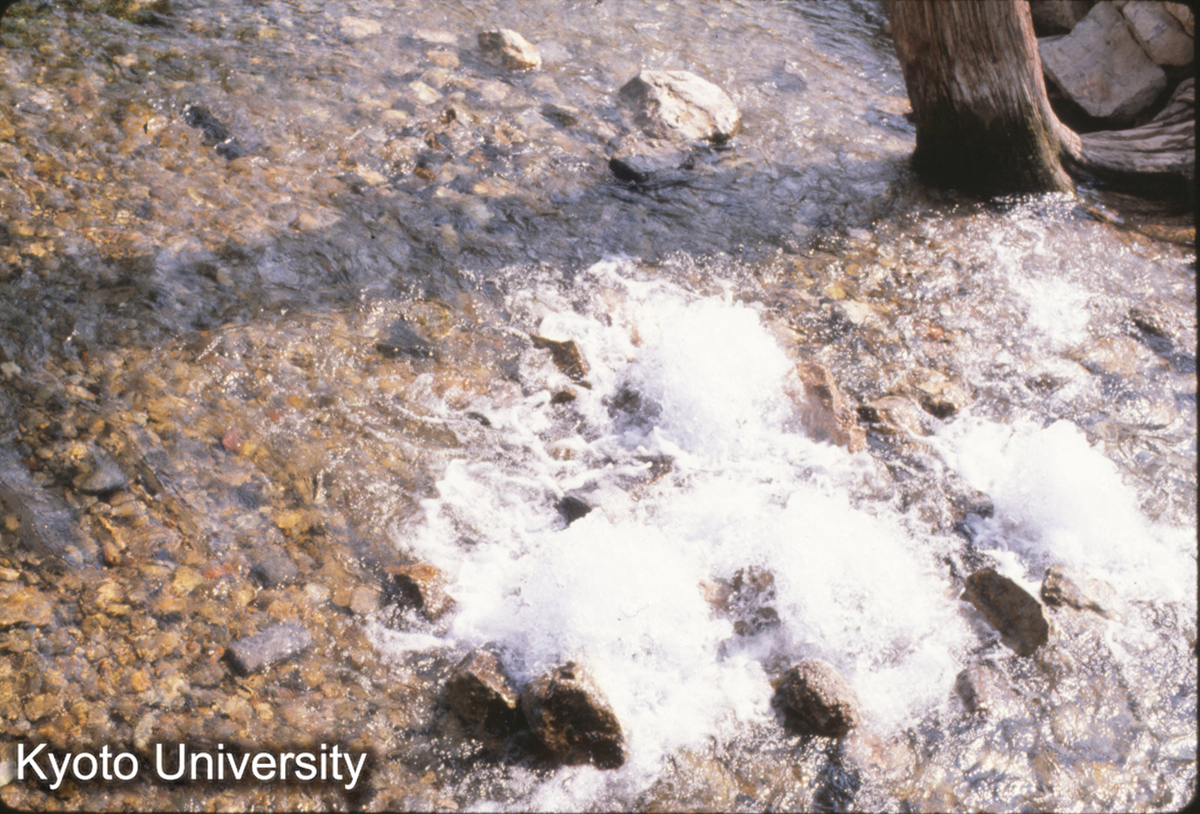 43-4_洪洞 広勝寺 清水 (1)
