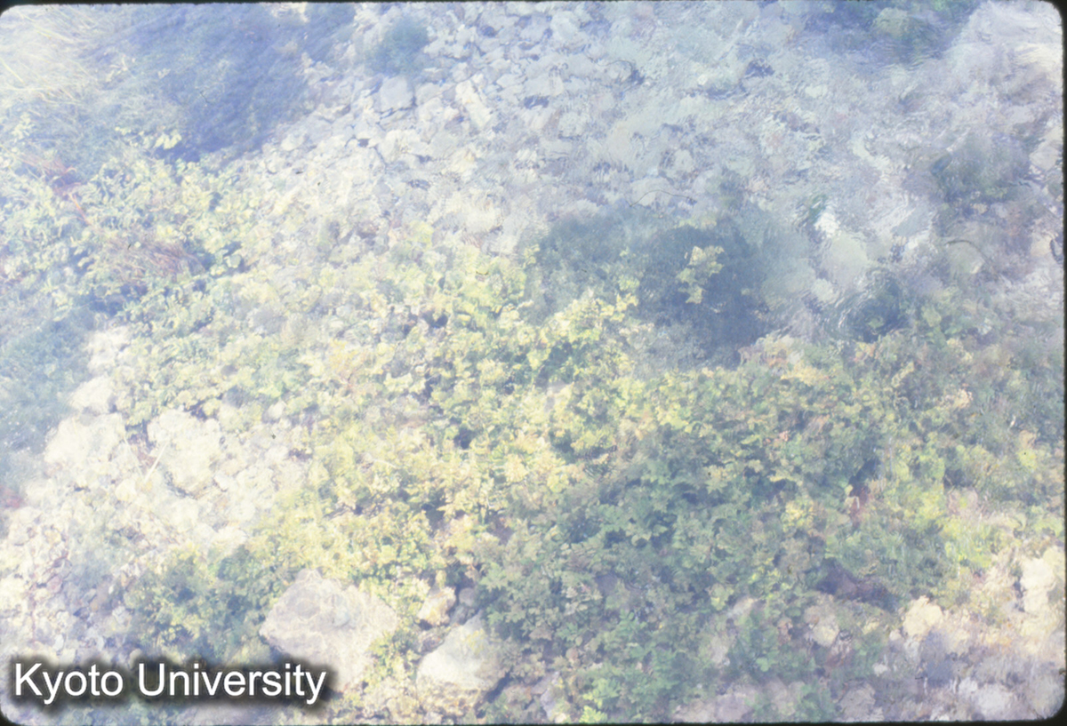 43-5_洪洞 広勝寺 清水 (1)