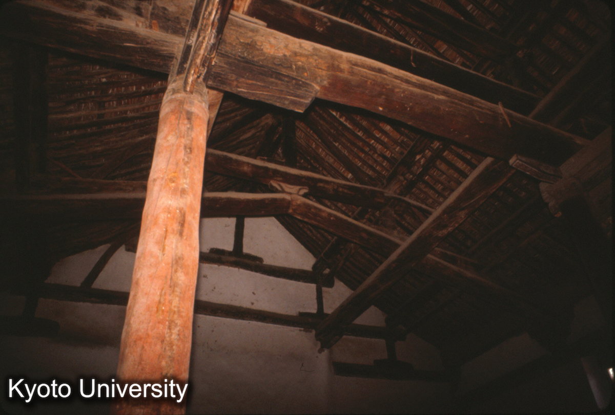 44-25_広勝下寺 前殿 梁架 大昂（斜梁） (1)