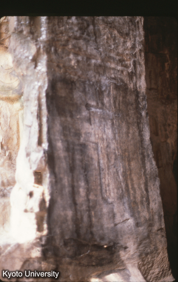 52-17_龍門 薬方洞 (1)