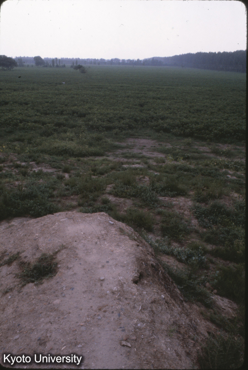 53-27_洛陽 城址（西城壁）永寧寺塔址より (1)