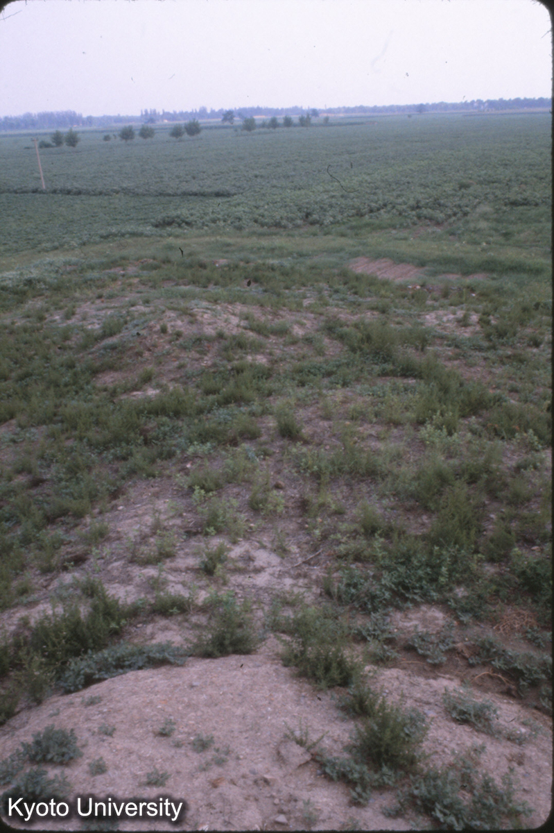53-28_永寧寺塔址より 漢魏洛陽城址 (1)