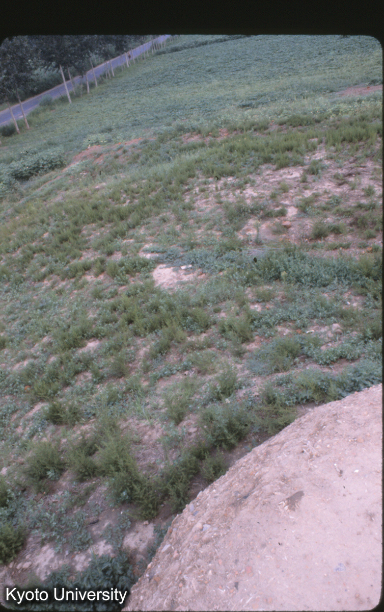 53-29_永寧寺塔址より 漢魏洛陽城址 (1)