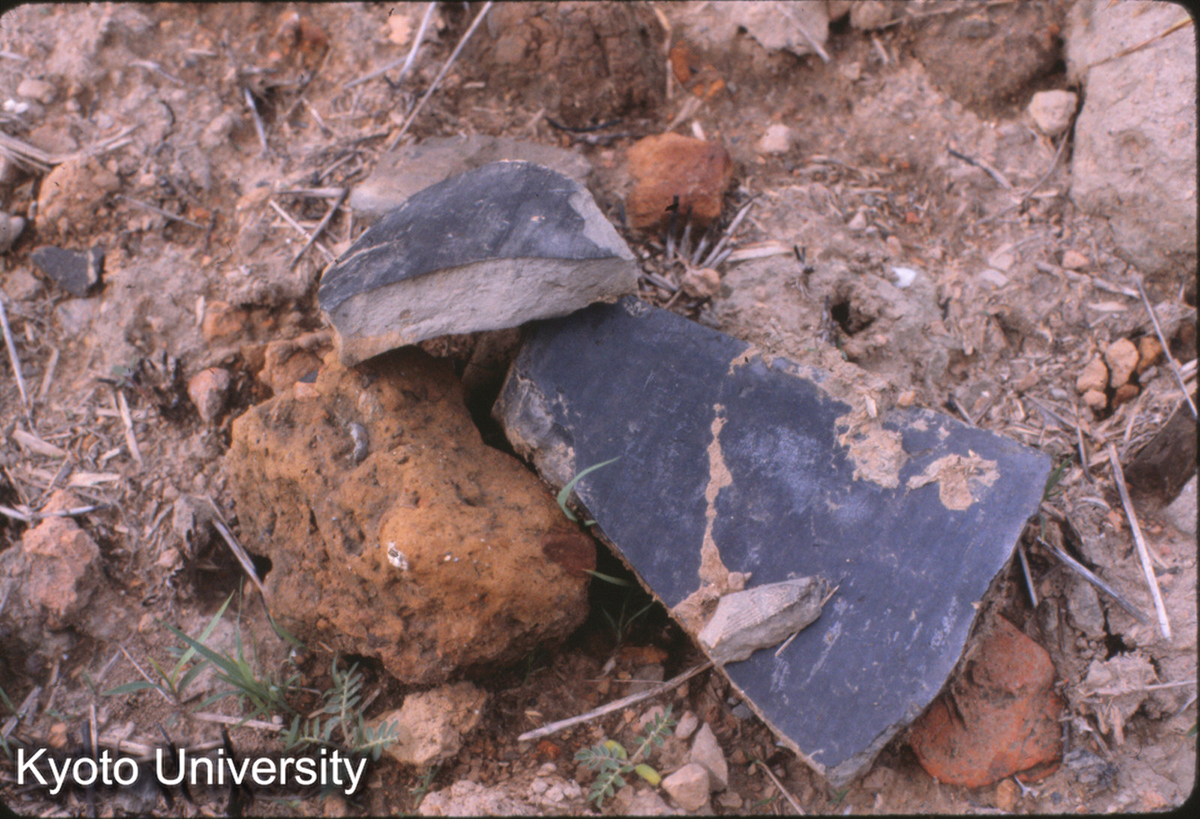 53-30_洛陽 永寧寺塔址「青棍瓦」 (1)