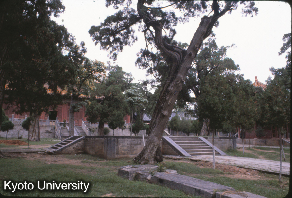 54-27_登封 中岳廟 中岳大殿 (1)