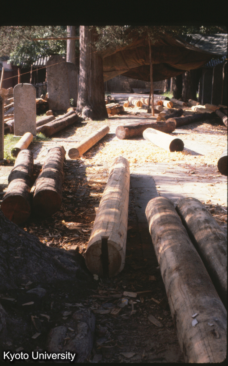 57-3_少林寺 木取り（復元） (1)