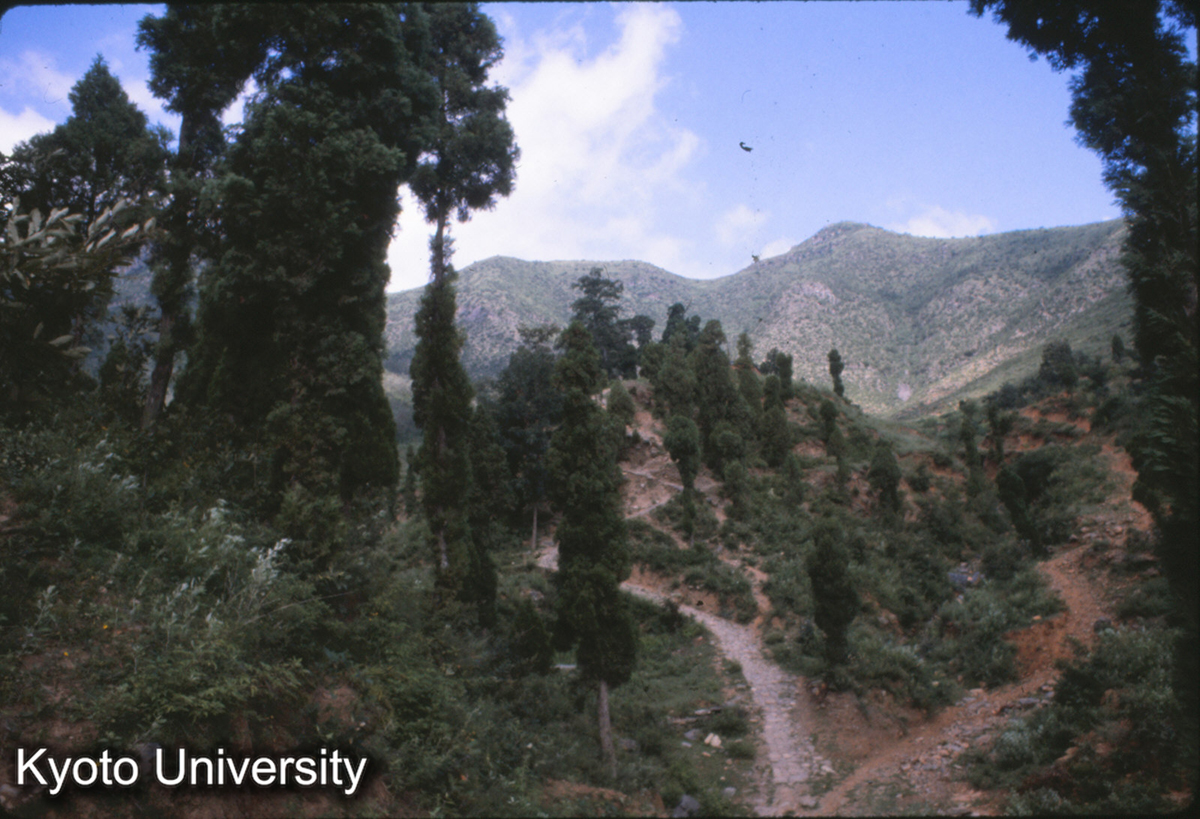 58-12_少林寺 初祖庵 附近 (1)