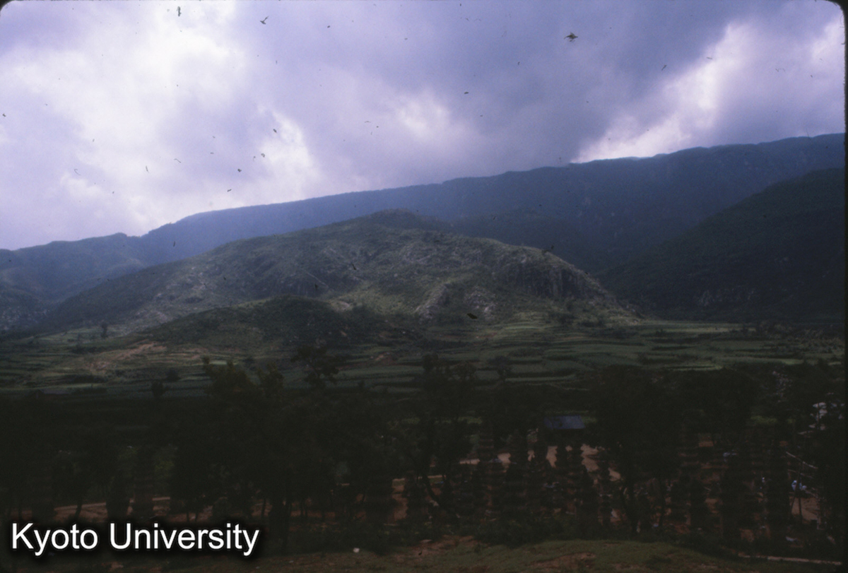 58-13_少林寺 塔林 (1)