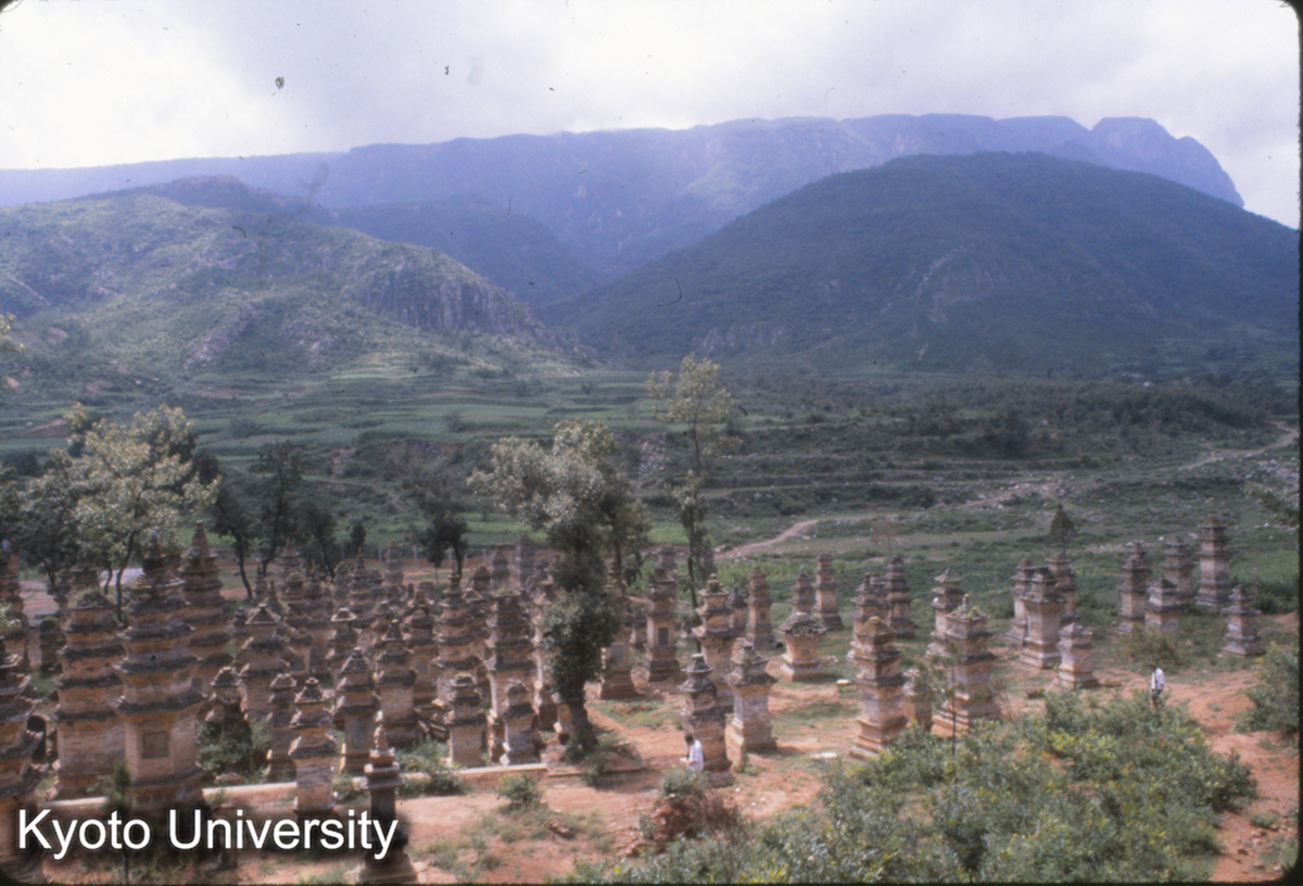 58-20_少林寺 塔林 (1)