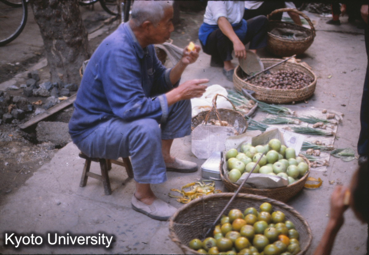 61-26_りんご・みかん・ねぎ 南京浮橋 (1)