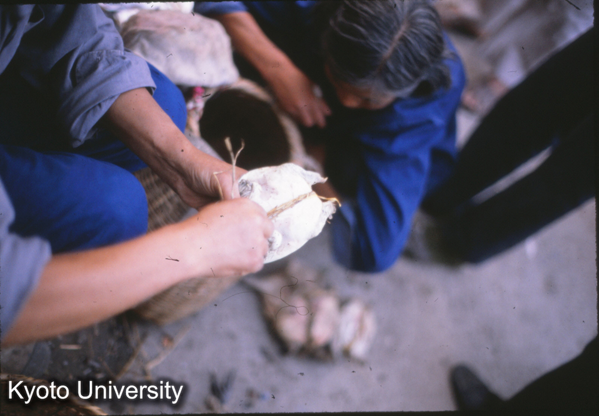 61-29_すっぽん? 南京浮橋 (1)