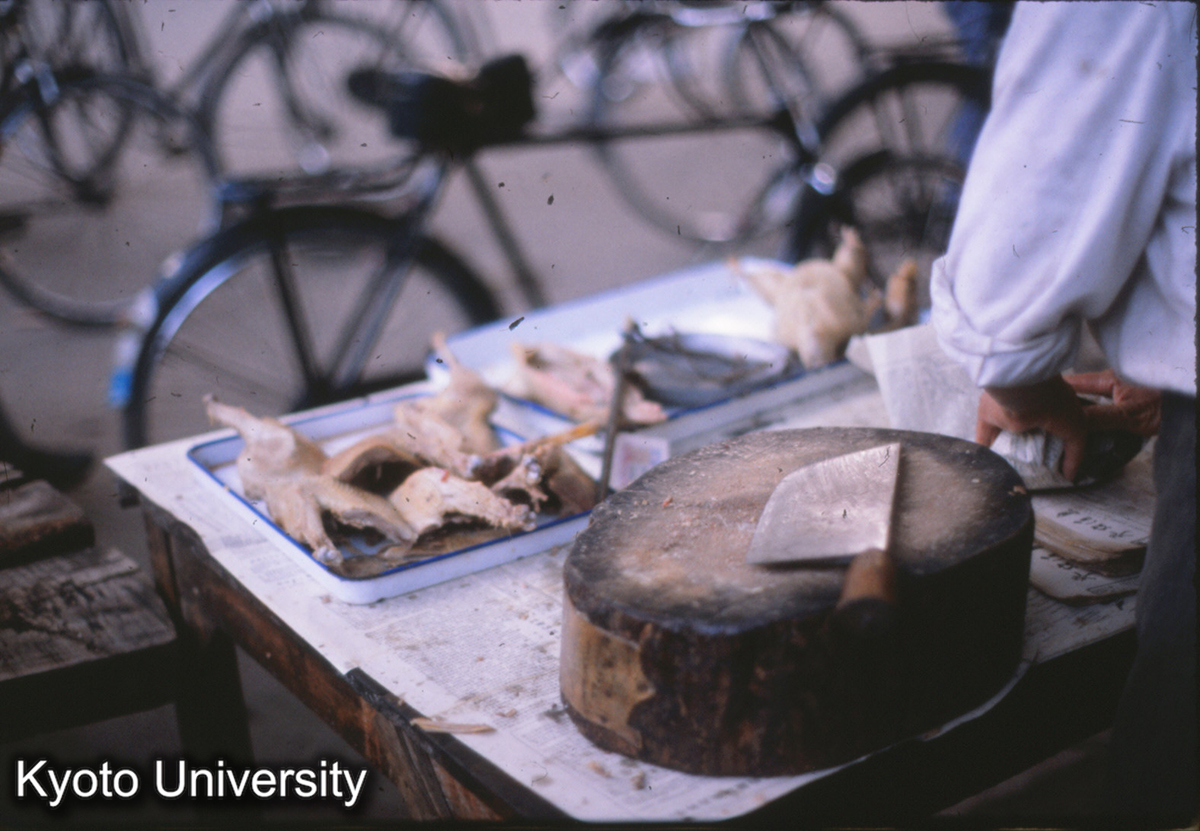 61-34_鶏 南京浮橋 (1)