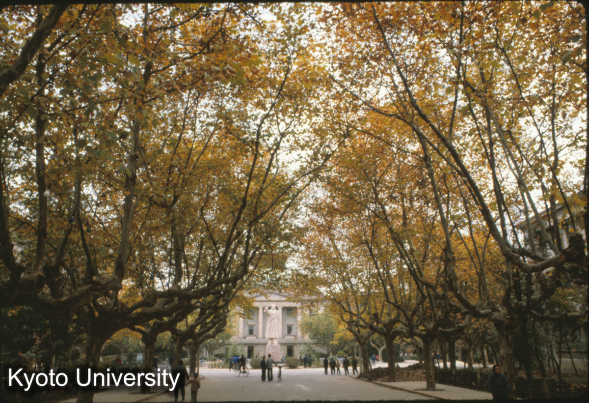 62-22_南京工学院校内 秋 (1)