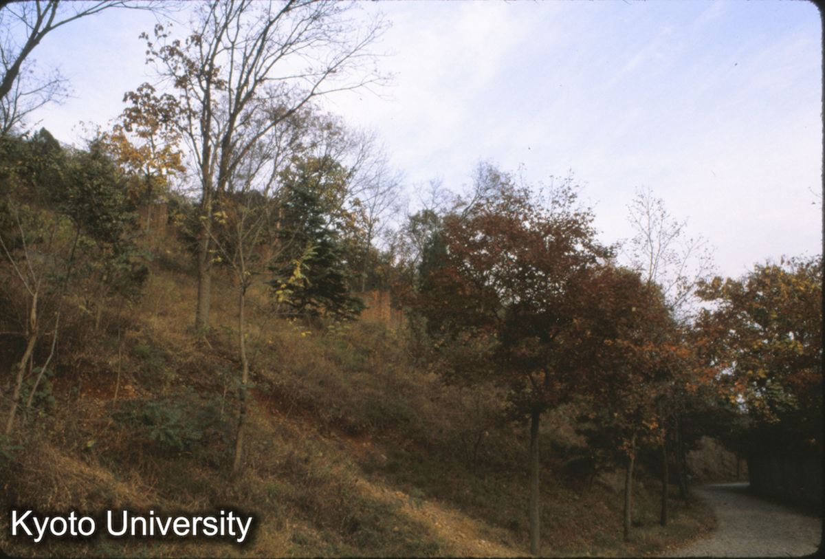 62-35止_南京北極閣山上（原同泰寺址） (1)