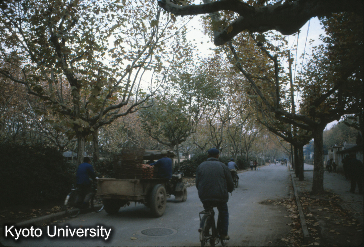 64-16_南京市内 (1)