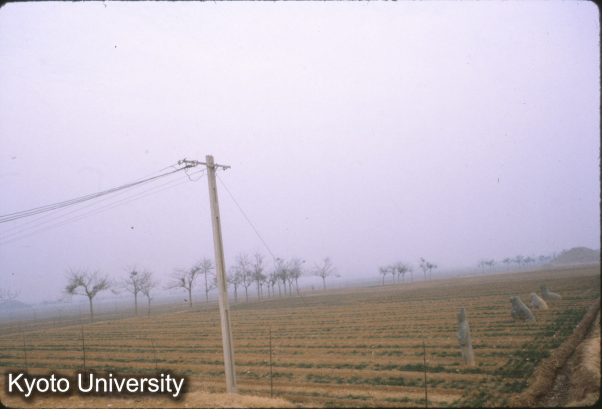 67-35止_鞏県 永安陵（宣祖） (1)