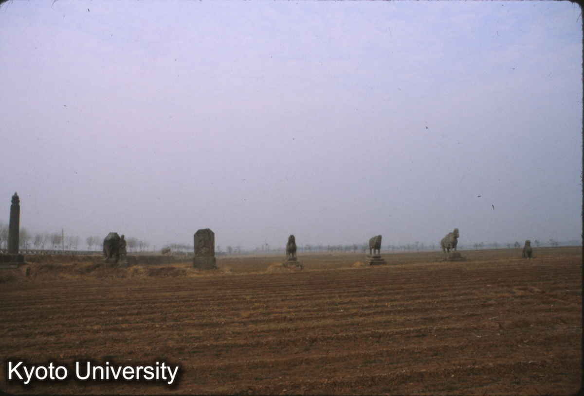 68-1_鞏県 永安陵（太祖） 永安陵（宣祖）の西北に選地_81 (1)