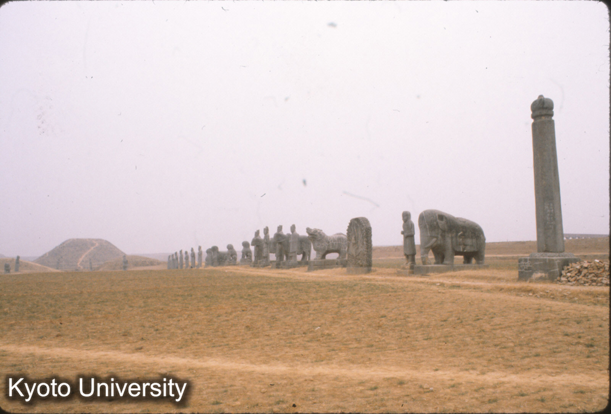 68-30_鞏県永定陵（真宗） (1)