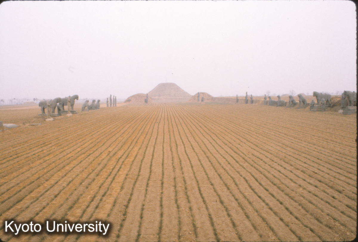 69-6_鞏県永裕陵（神宗）彫刻良い 全景 1085没 (1)