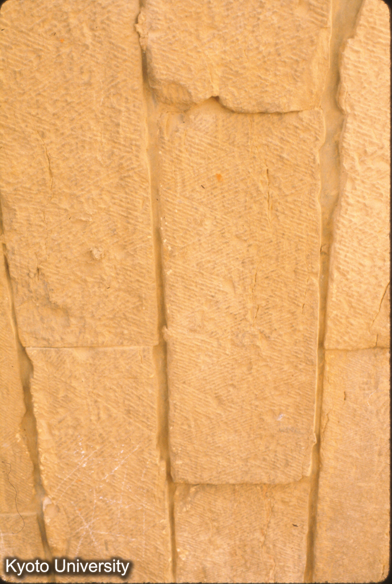 71-8_趙県 安済橋 隋当初の石のノミアト (1)